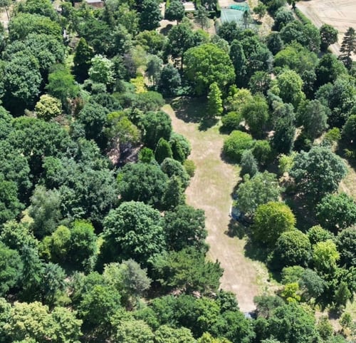 Aerial view of the Main Arboretum in summer
